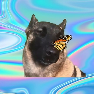 Выкрутасы и причуды