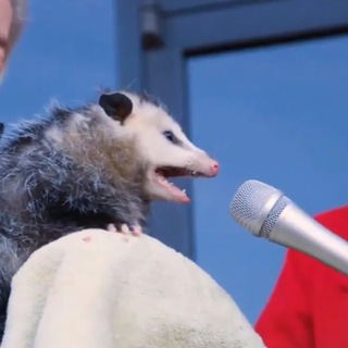 Ор с доставкой