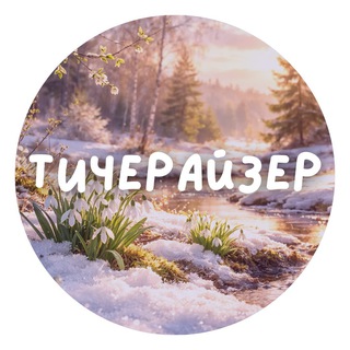 Teacherizer (Тичерайзер)