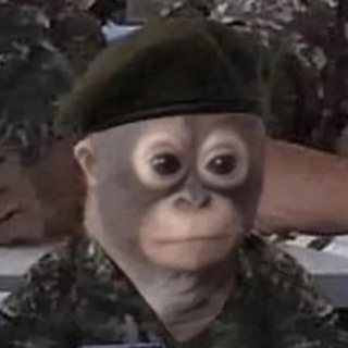 Кошачья Бацыла