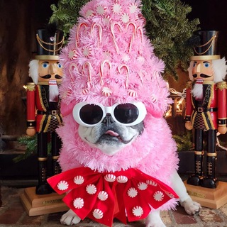 Тренд Вотчина