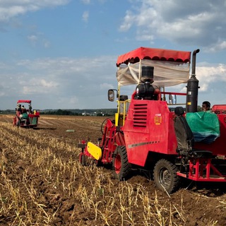 АгроЧеснок 🇷🇺