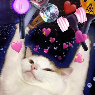 Билеты на к-поп концерты в Корее / Купить билет на к-поп концерт / Tickets k-pop concert / к-поп помощь в покупке билетов