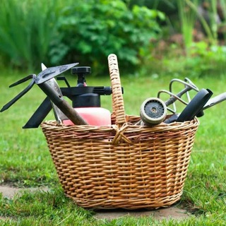 Корзина дачника