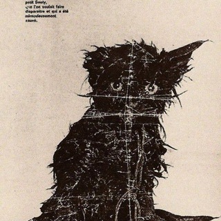 Быть Дохлой Кошкой