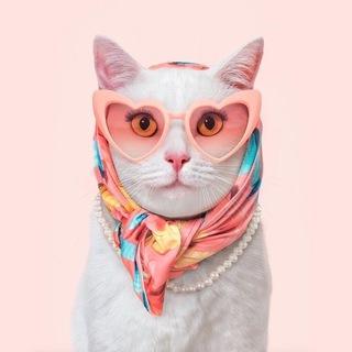 Леди в тренде