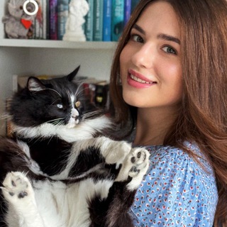 Книжный Скотт