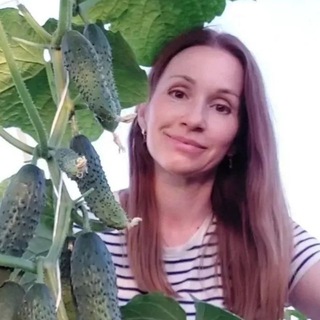 ДЕРЕВЕНСКАЯ СКАЗКА