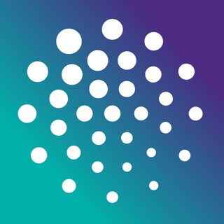 Сириус Олимп: всё об олимпиадах