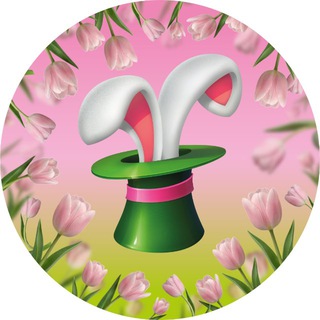 Зоомагазин Белый Кролик