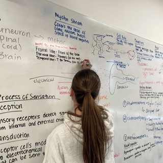 Как Настя английский учила..