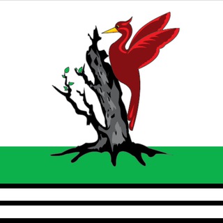 Елабуга Светлый