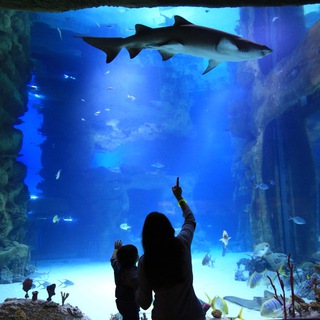 ЯРКИЕ БУДНИ