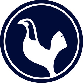 Тоттенхэм Хотспур