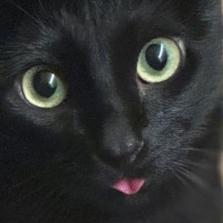 кринжовник ваззапа: котородители