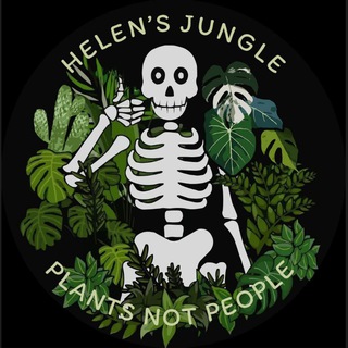 🪴 Helen's Jungle 🪴 | Будячечная
