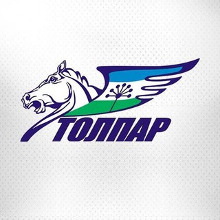 МХК «Толпар»