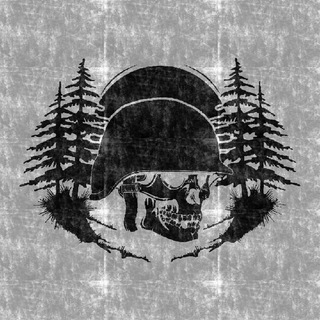 Проект «Партизан»