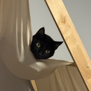 Vik-on Умелец, Чел, Энтузиаст, Ученый, Хайпожор, Контрафактник