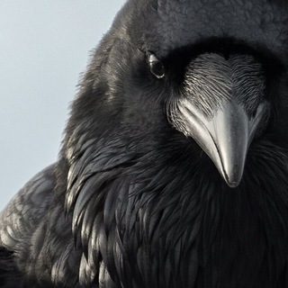 Чертоги Севера