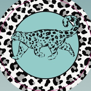 🐾 Друзья снежного барса