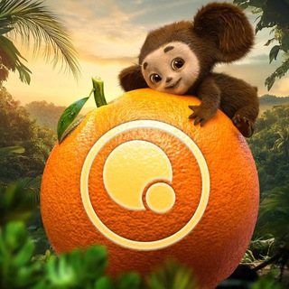 YELLOW, BLACK AND WHITE