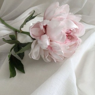 𔓘ˢⁱⁿᵗᵉᵐ