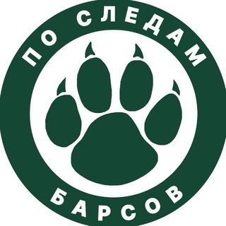 🐾 По следам барсов