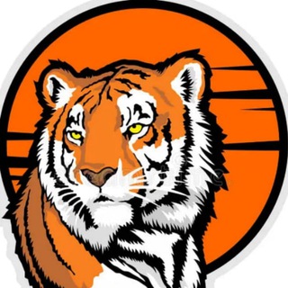 vdk_tiger_vladivostok25