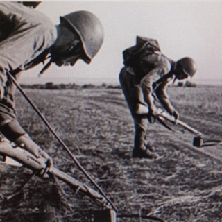 МатБаза БИП