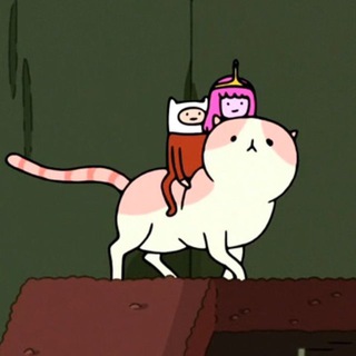 мадж муравьи