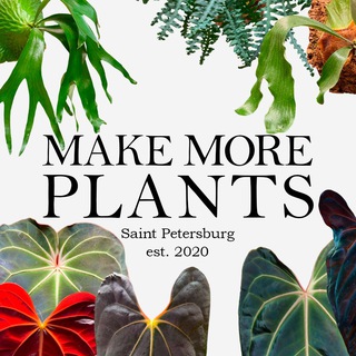 Make More Plants | Санкт-Петербург