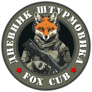 Дневник штурмовика