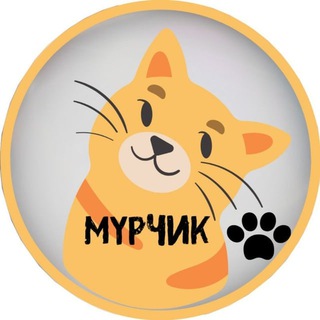 myrchikcats