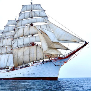 Морские истории ⛵️