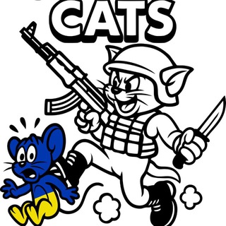 ШТУРМОVЫЕ КОТИКИ