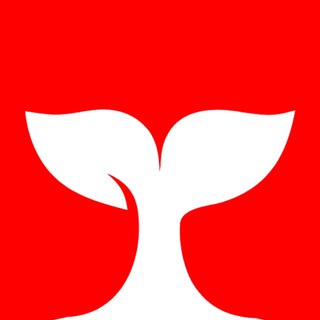 Охотник на китов