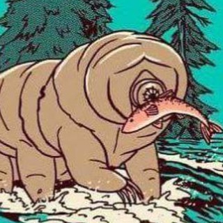 Биологические беруши