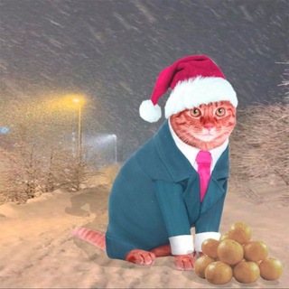 кить | познавательно