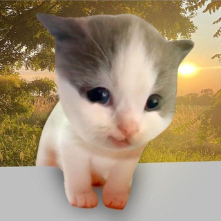 Вилли Весной