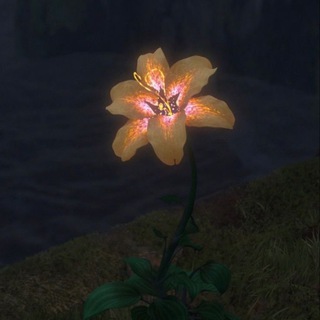 amor.animaa💤🇵🇸