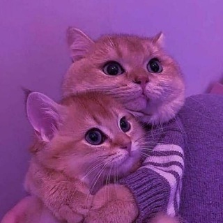 афигенный гороскоп