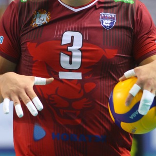 Скинь Титич