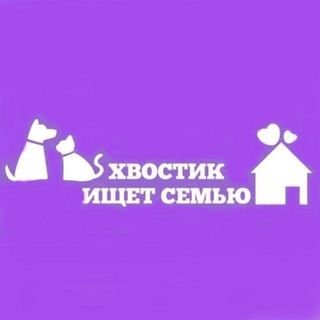 Хвостик ищет семью