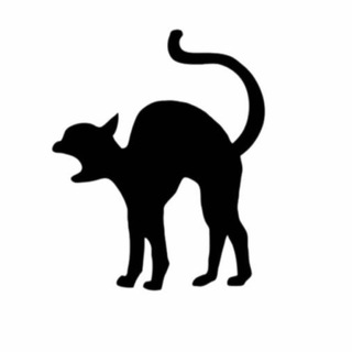 Альфа на выгуле