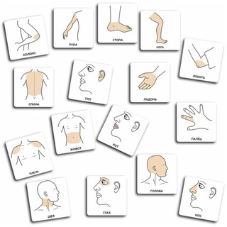 PECS карточки