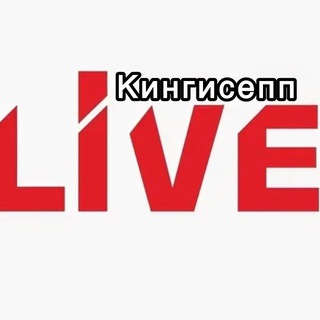 Кингисепп | Live