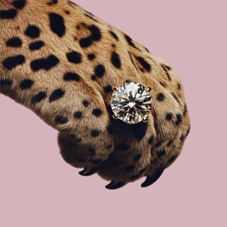 Знай своё место, женщина