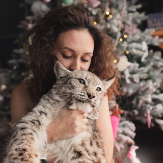 KatyaBobCat(Бытовуха)