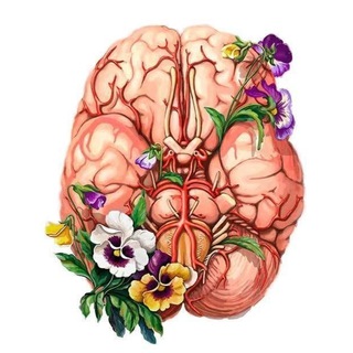 Тесты. Анатомия